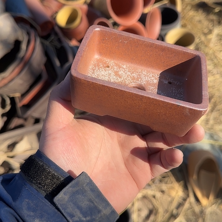 一些地区已成为该区主要城市中最为繁华商业