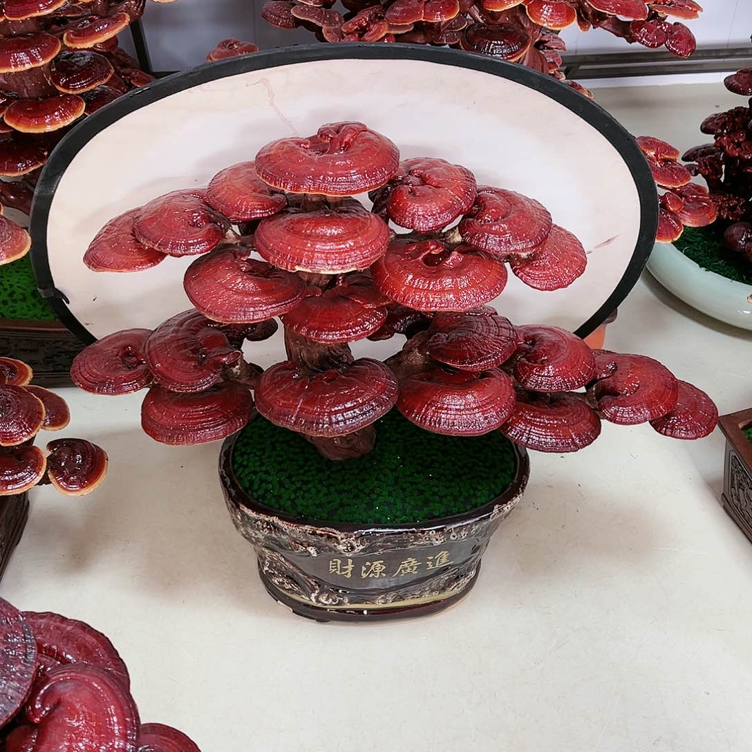 【闪购商品】无花朵