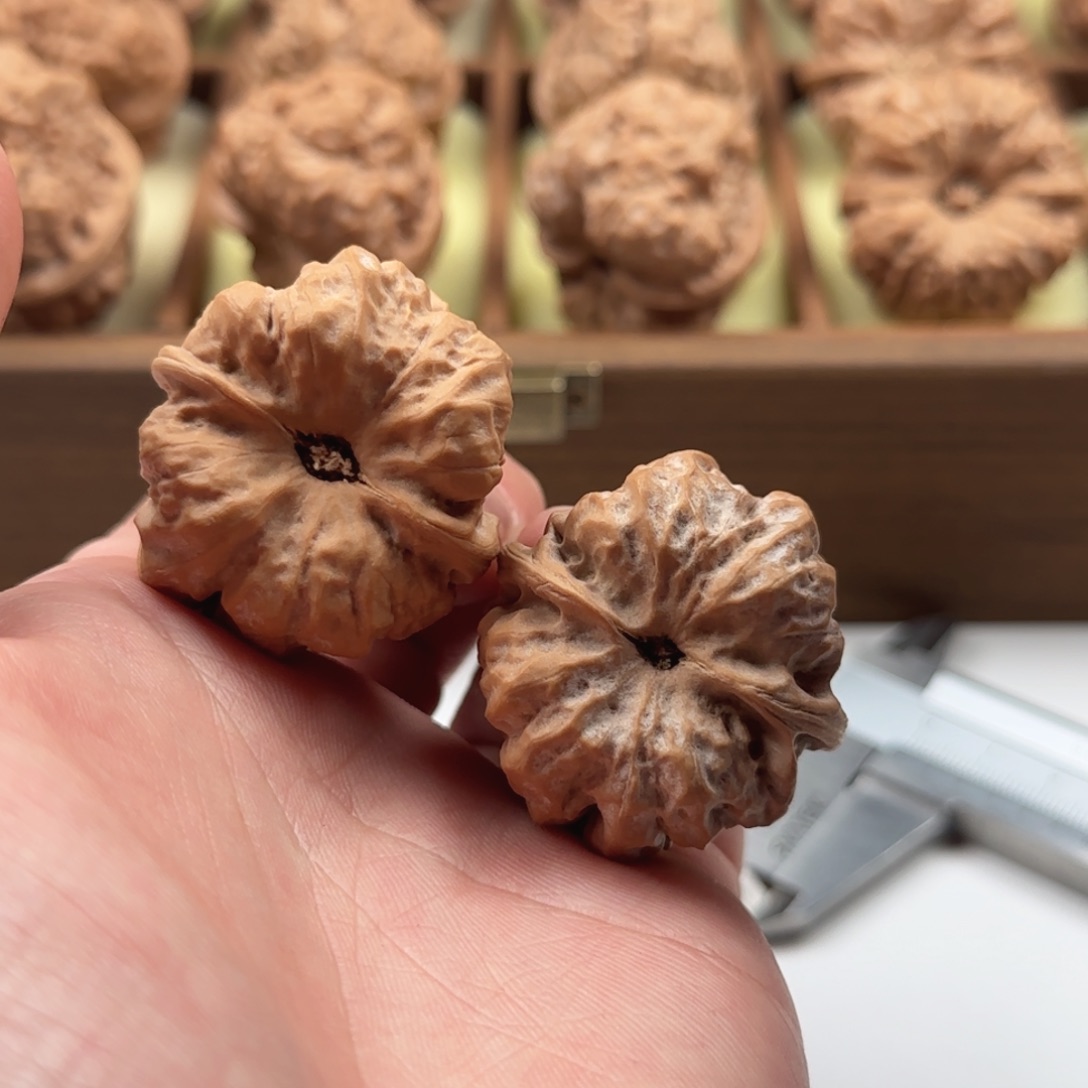 把件核桃延庆蛤蟆