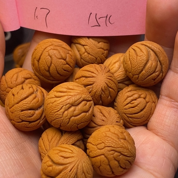 吊坠桃核秦岭龙纹桃核17