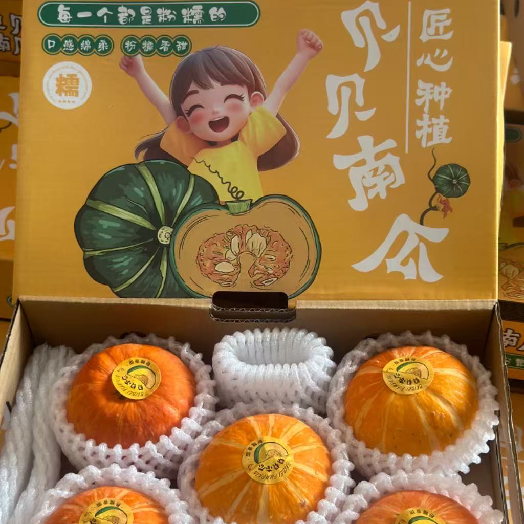 红贝贝小南瓜金粉一号2.4斤毛重，5到6枚装，新鲜现摘，婴儿辅食，老熟惠和面甜栗味粉糯甜红贝贝小南瓜