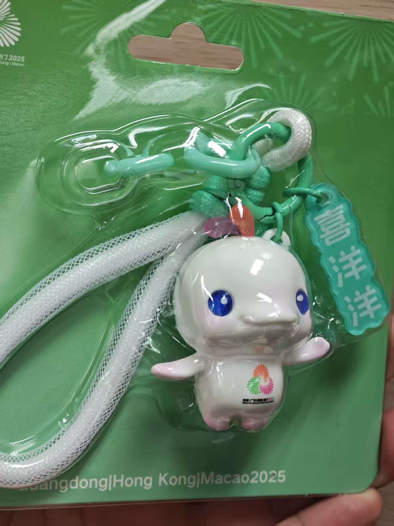 十五运纪念品