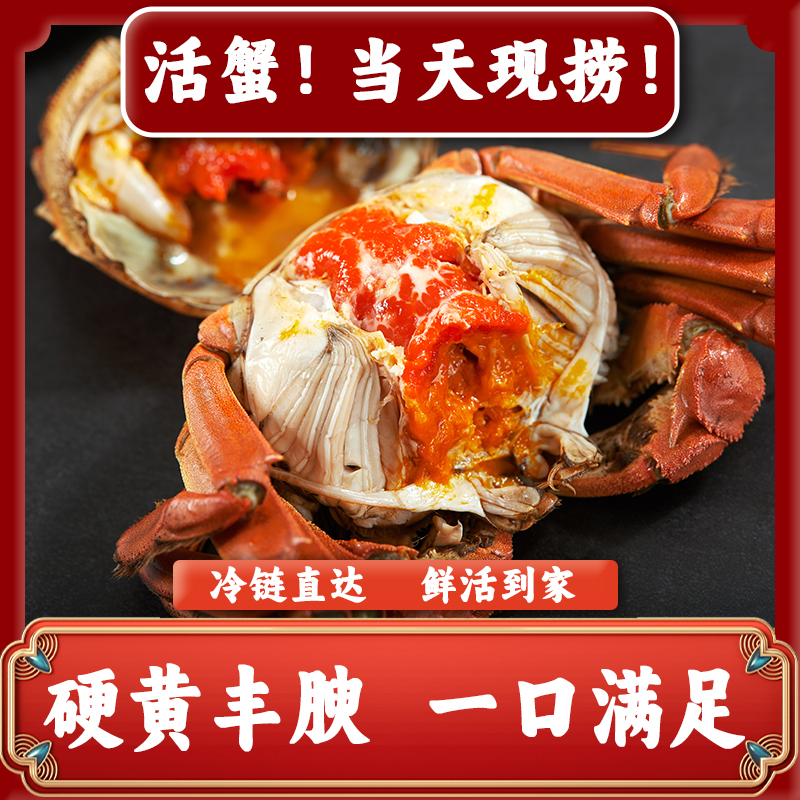 【活蟹】江苏精品大闸蟹 全母2.6-2.3两 拍8只送2只到手10只