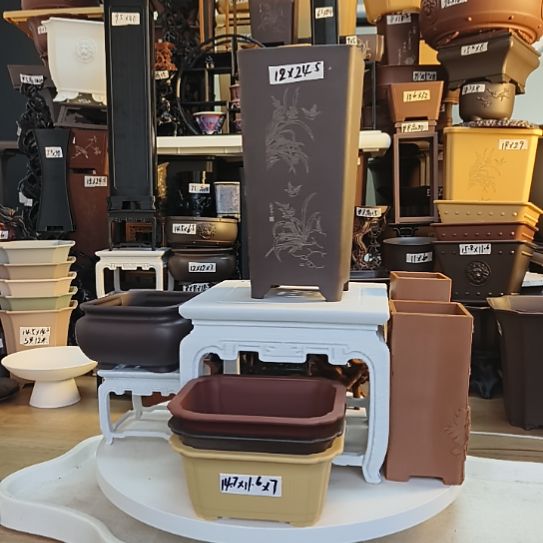 12×24签筒咖色兰花5只