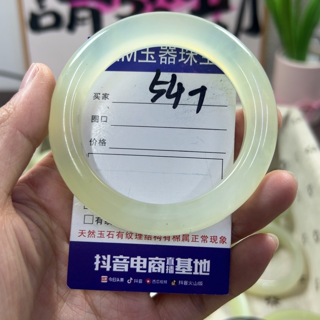 蛇纹石玉手镯未镶嵌646