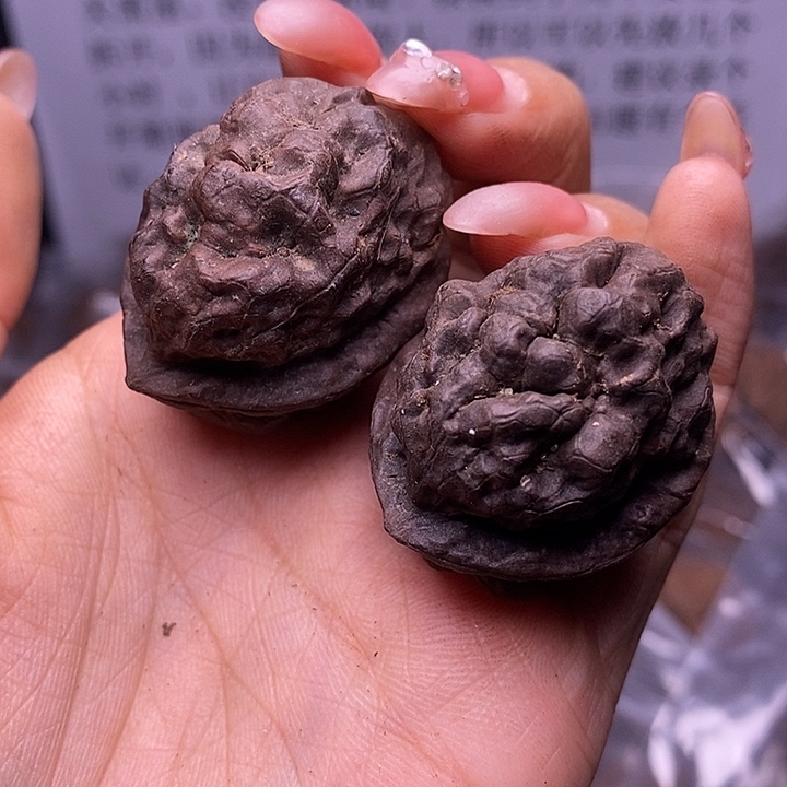 核桃云南野生铁核桃166号35mm