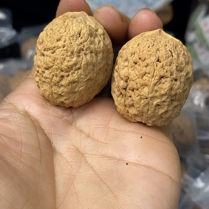 核桃云南铁核桃基地52