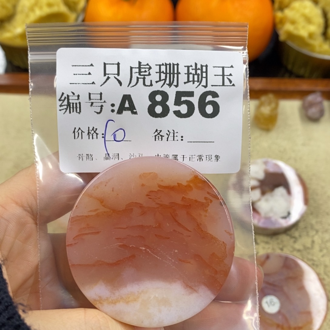 硅化珊瑚（珊瑚玉）1未镶嵌?****。