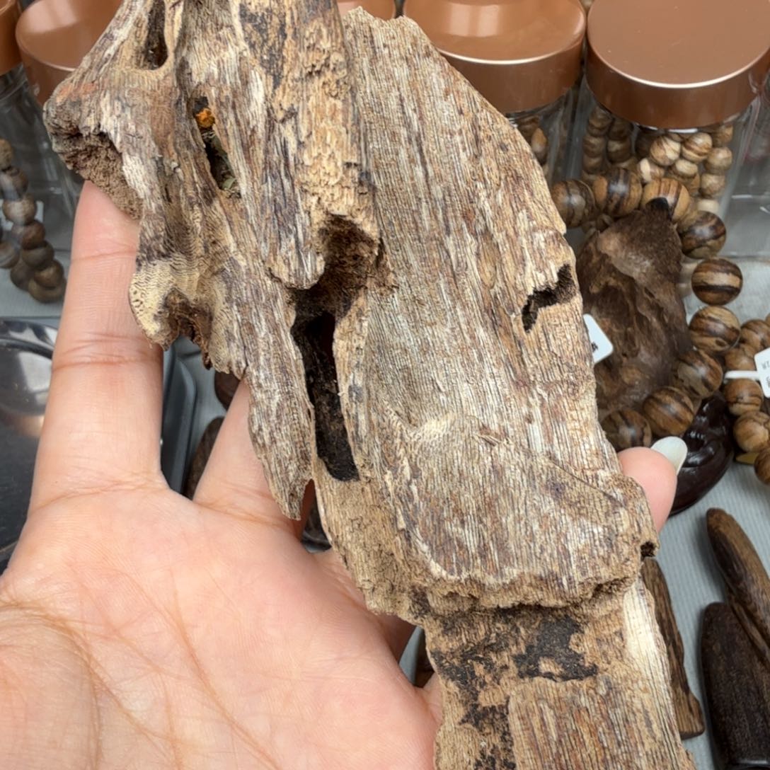 沉香沉香碎屑芽庄虫漏 42 克