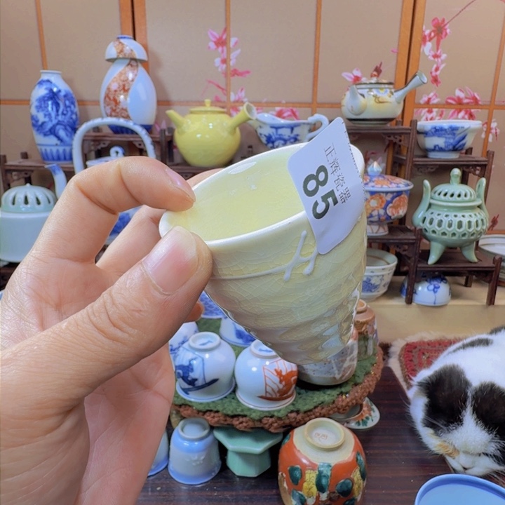 碗85啊啊啊啊啊啊啊啊啊啊啊啊