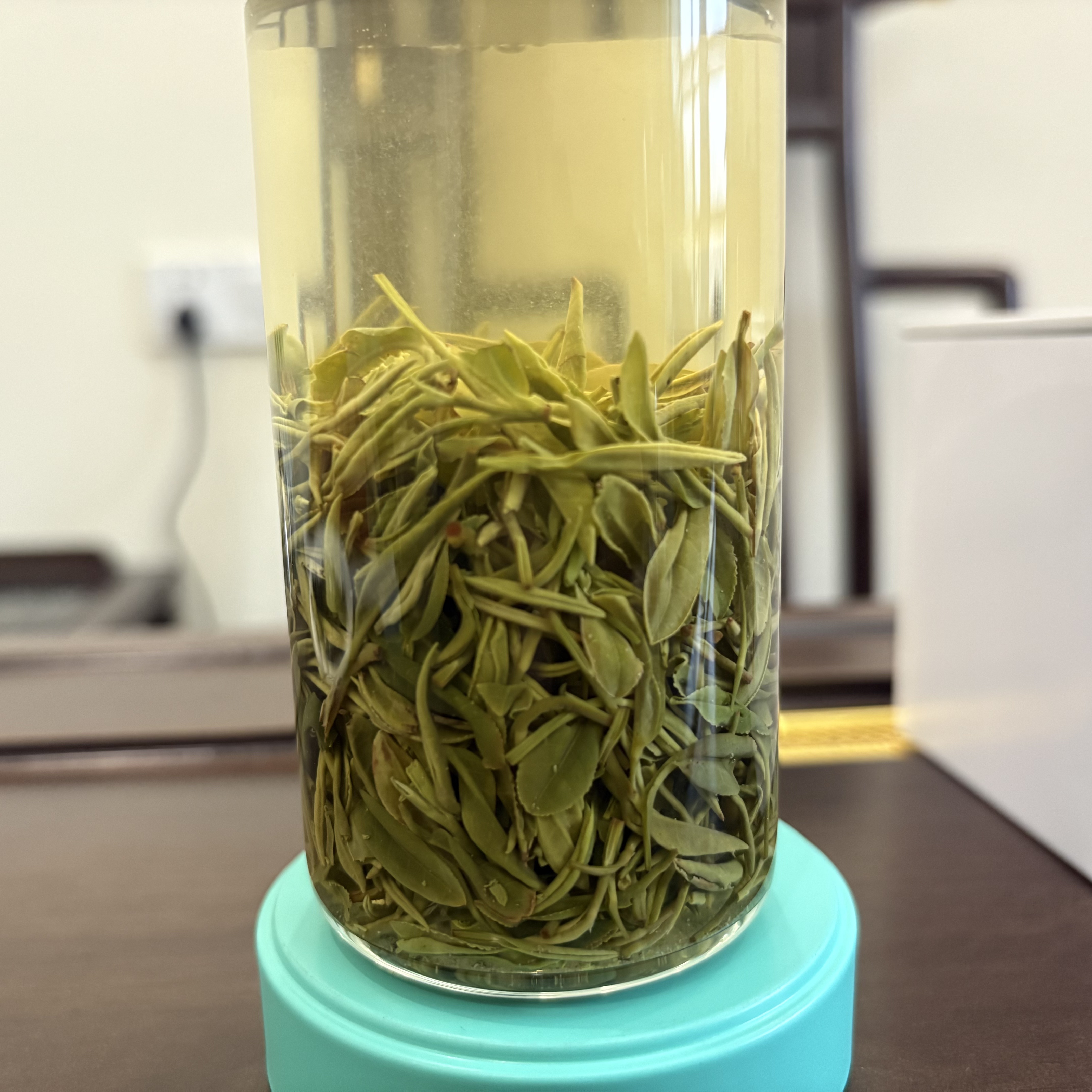 高山雨前信阳毛尖小芽叶