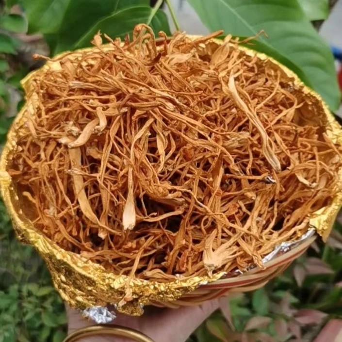 大小姐推荐金银花-银耳