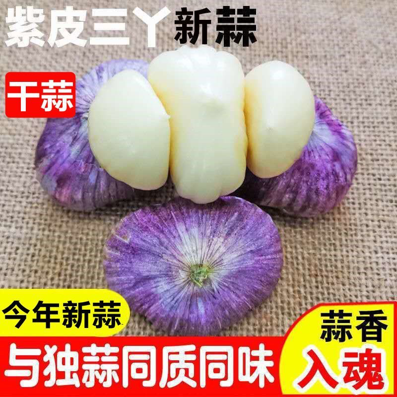 品牌 食香九镇 云南正宗三丫蒜元宝蒜新鲜现挖香辣饱满可做腊八蒜