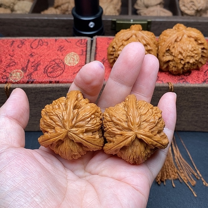 陆***鸢把件文玩核桃白奔