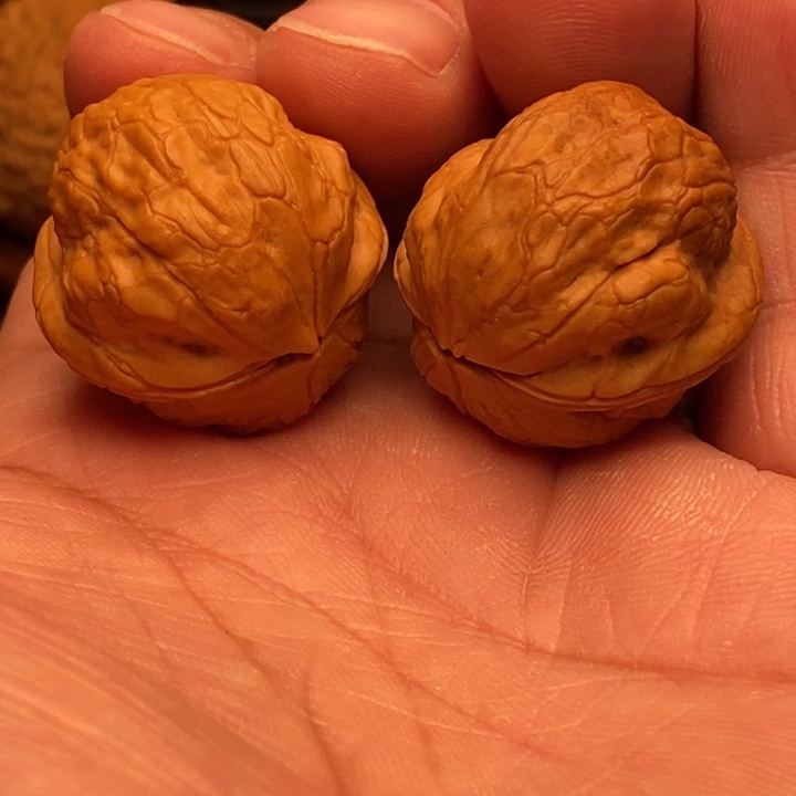 把件文玩核桃4…………………………