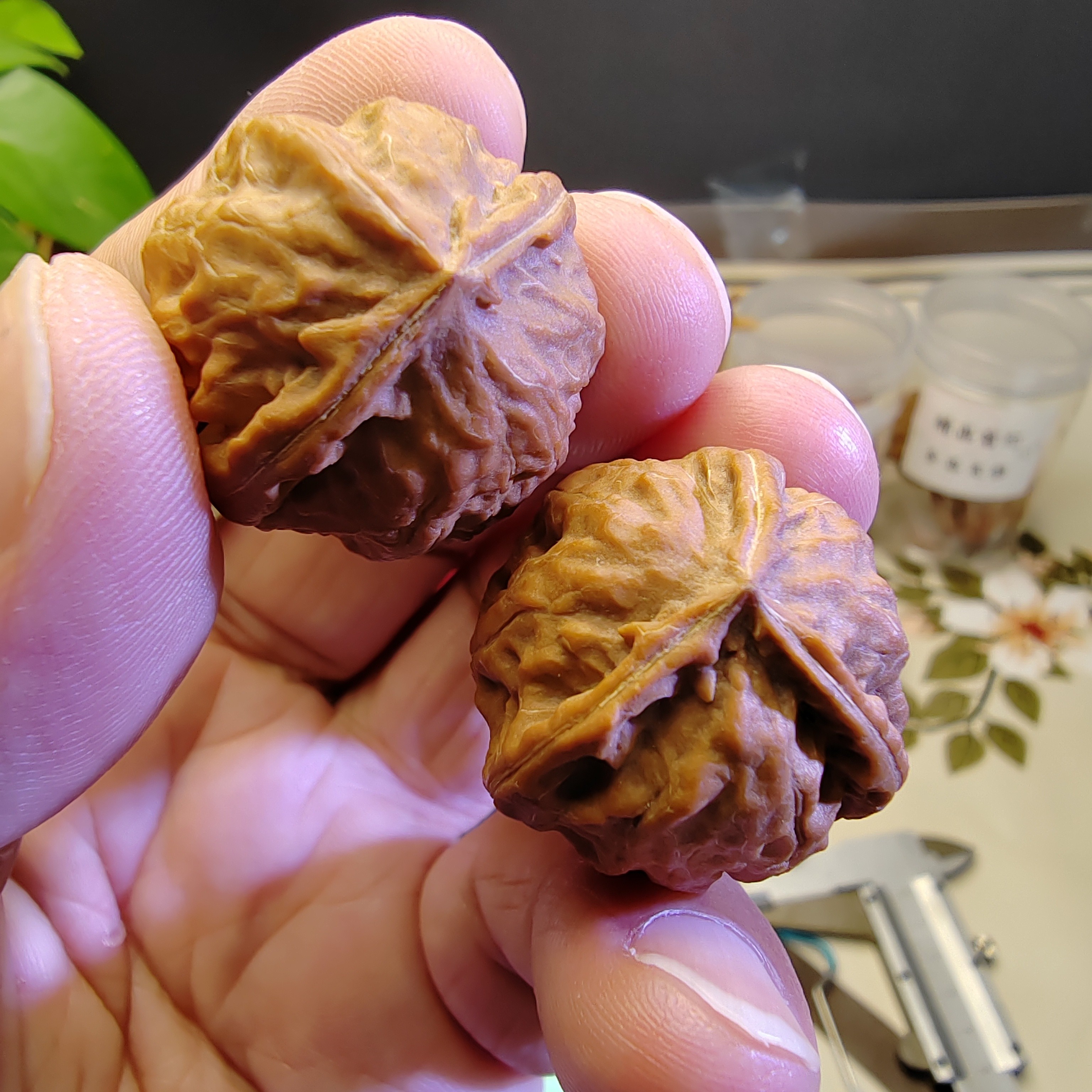 文玩核桃小手捻，正奔三棱全品！