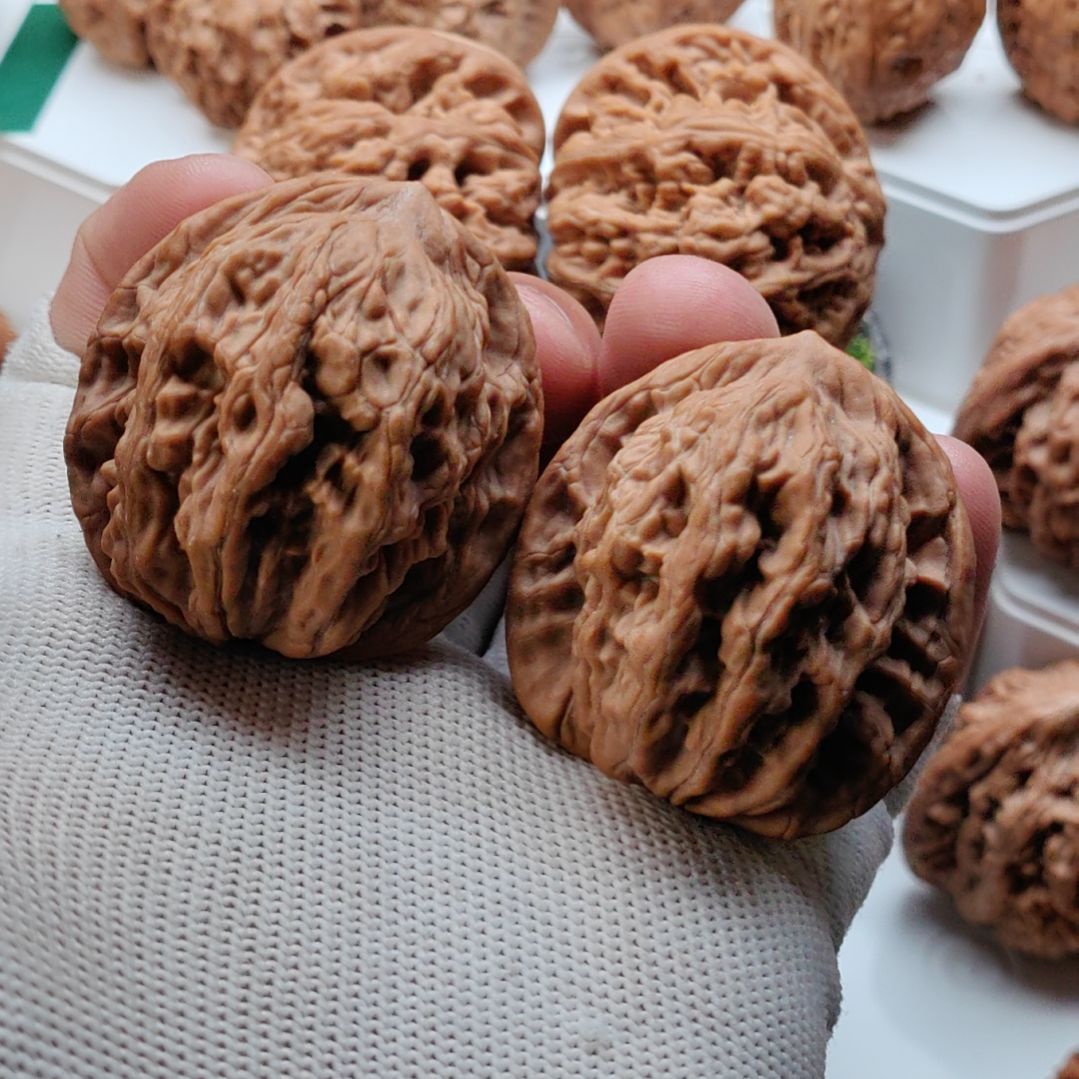 把件文玩核桃2号丨全品蓟县粗筋虎40尺