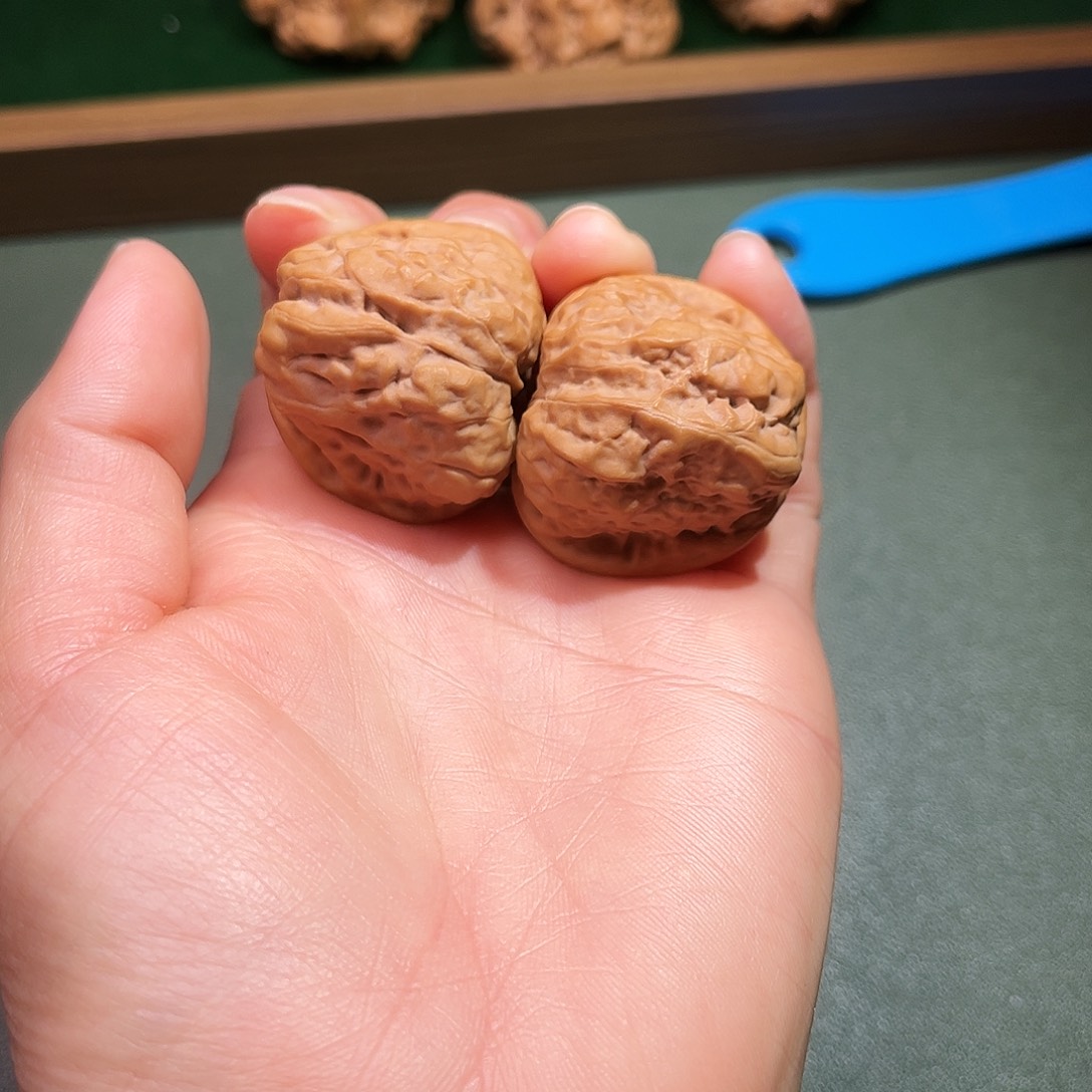 兴***店核桃涞水山地果蛤莫头35尺