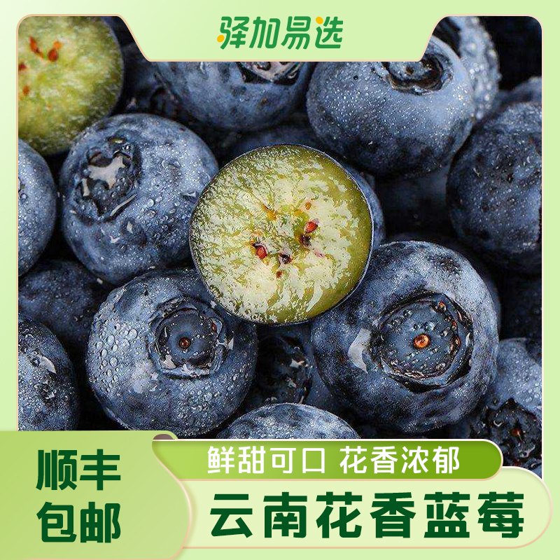 【云南高山花香蓝莓】脆甜爽口，产地新鲜直发，顺丰包邮TZ-XB