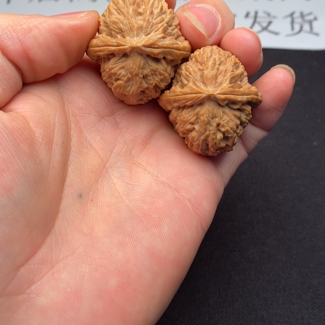 35.5全品满肉三角白狮子头