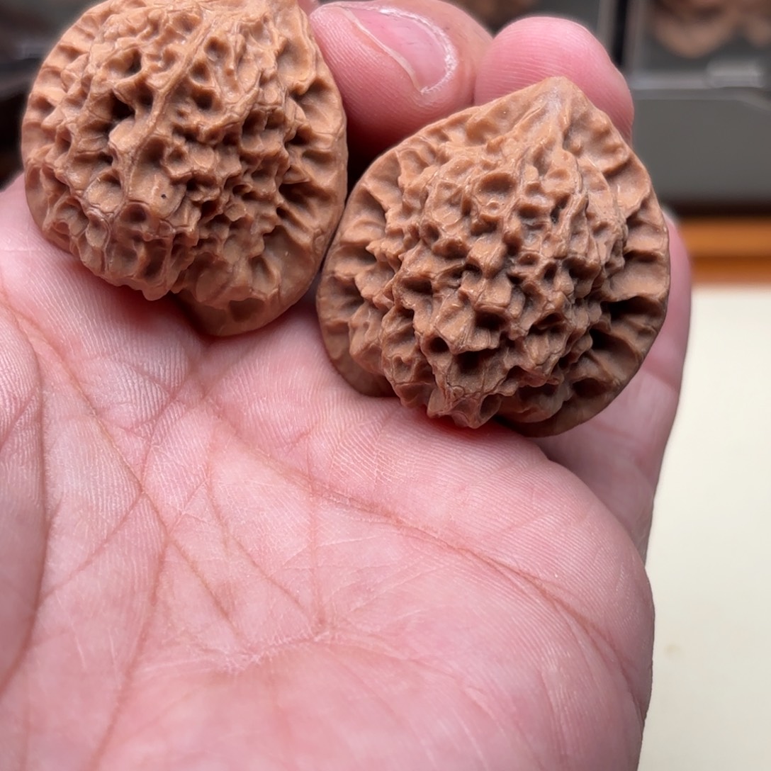 刘***玩文玩核桃把件太行山龙珠