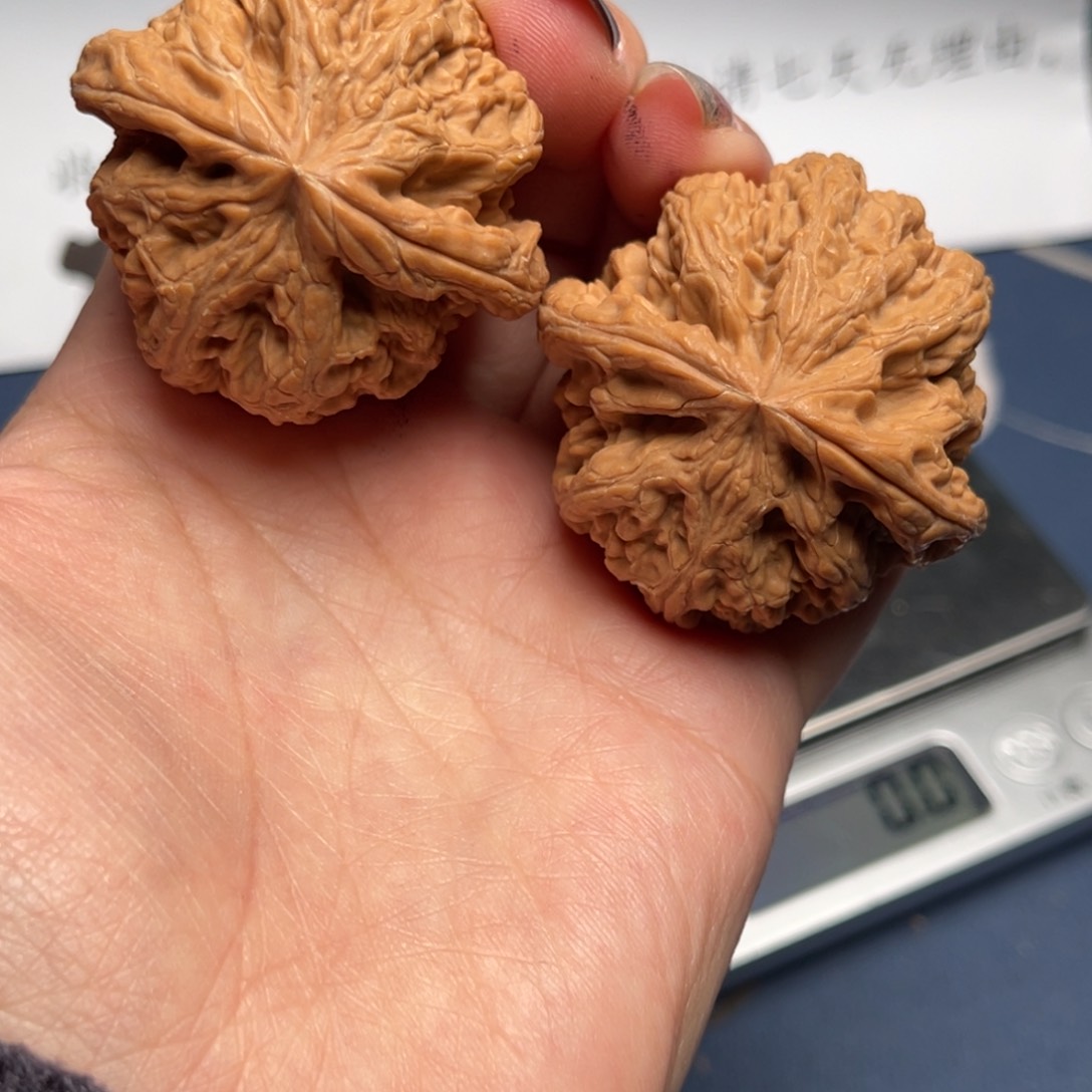 文玩核桃把件粗筋44