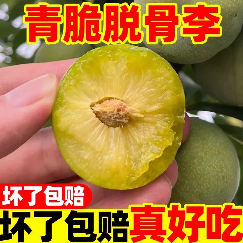 青脆脱骨李新鲜应季水果脆甜多汁多仓发货