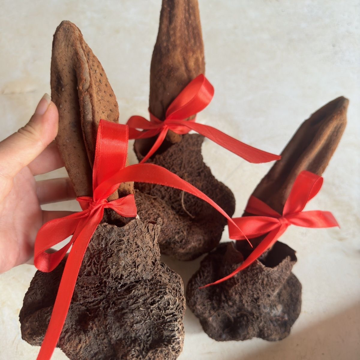 正宗特级野生续阳根草中药材男士滋补泡水泡酒料花果茶