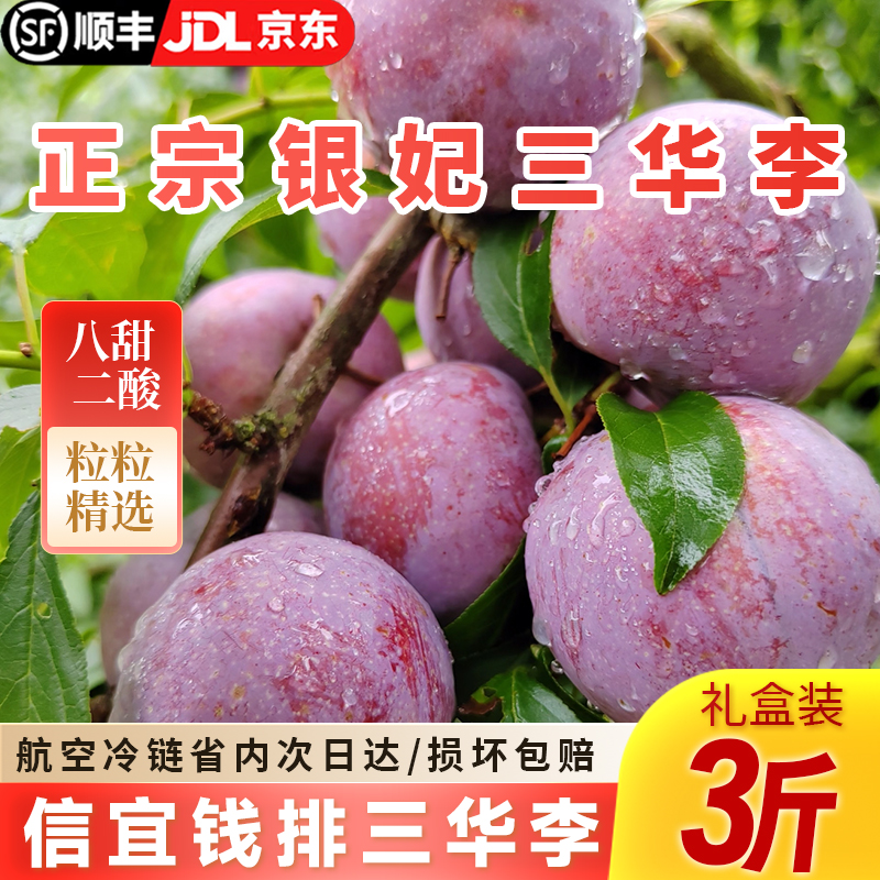 广东信宜钱排银妃三华3斤礼盒装精选大果新鲜现摘产地直达