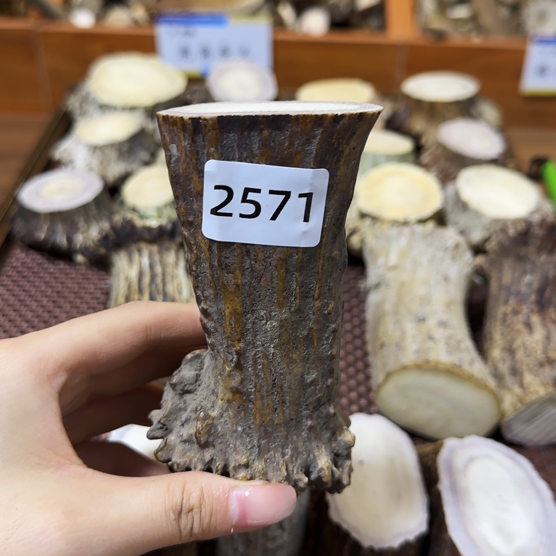 手串/手链鹿骨根段2571