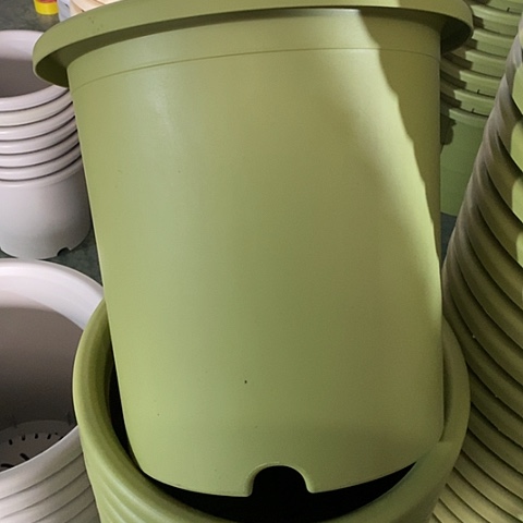 树脂四季8号果绿无托5个微瑕