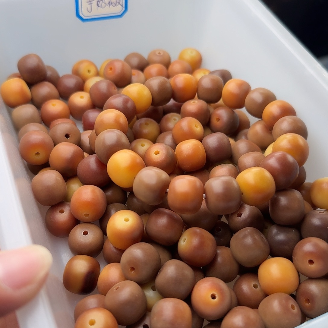 菩提根/象牙果吊坠20 颗磨砂落叶 14 干磨桶