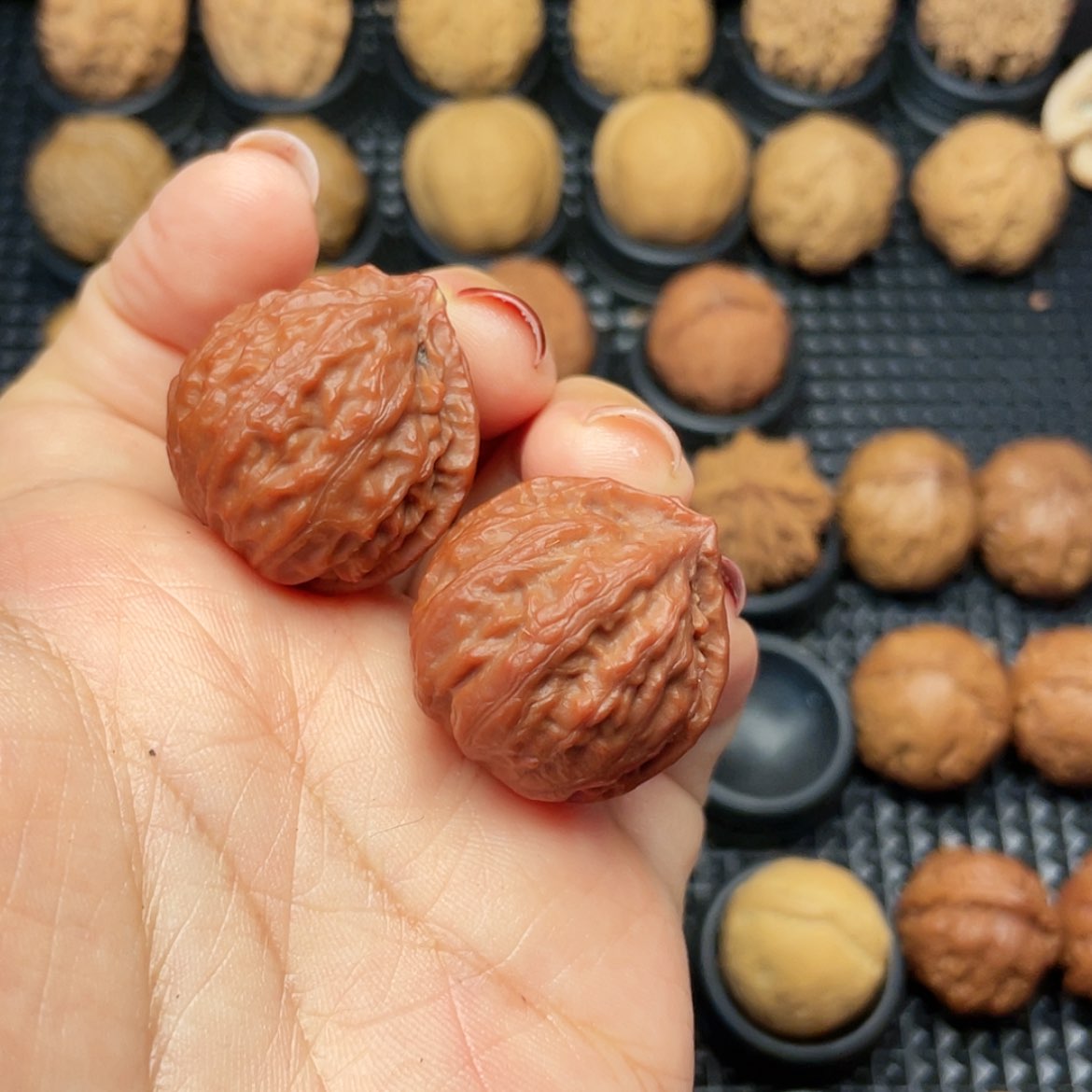 【闪购商品】把件文玩核桃乱*唱官帽