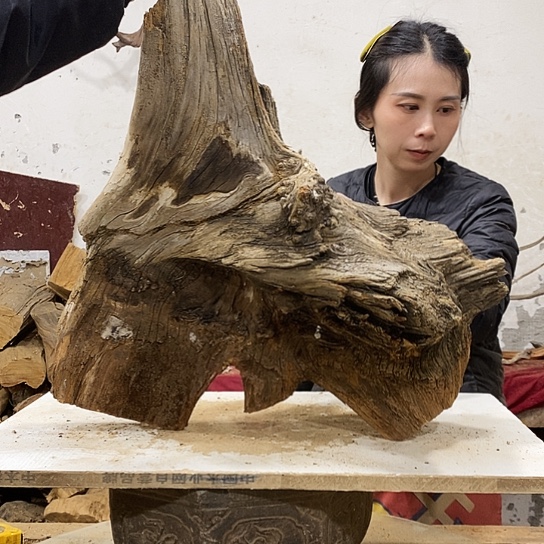 传***平柏木我们都是好孩子