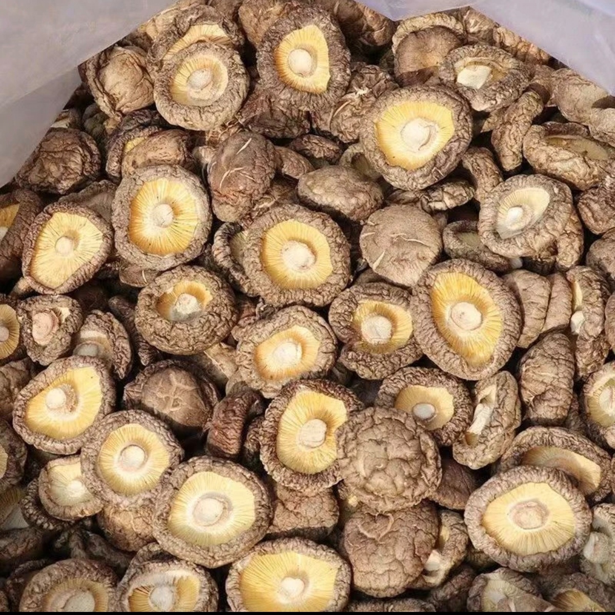 江西农家特产香菇干货肉厚无根煲汤炖汤营养美味菌菇