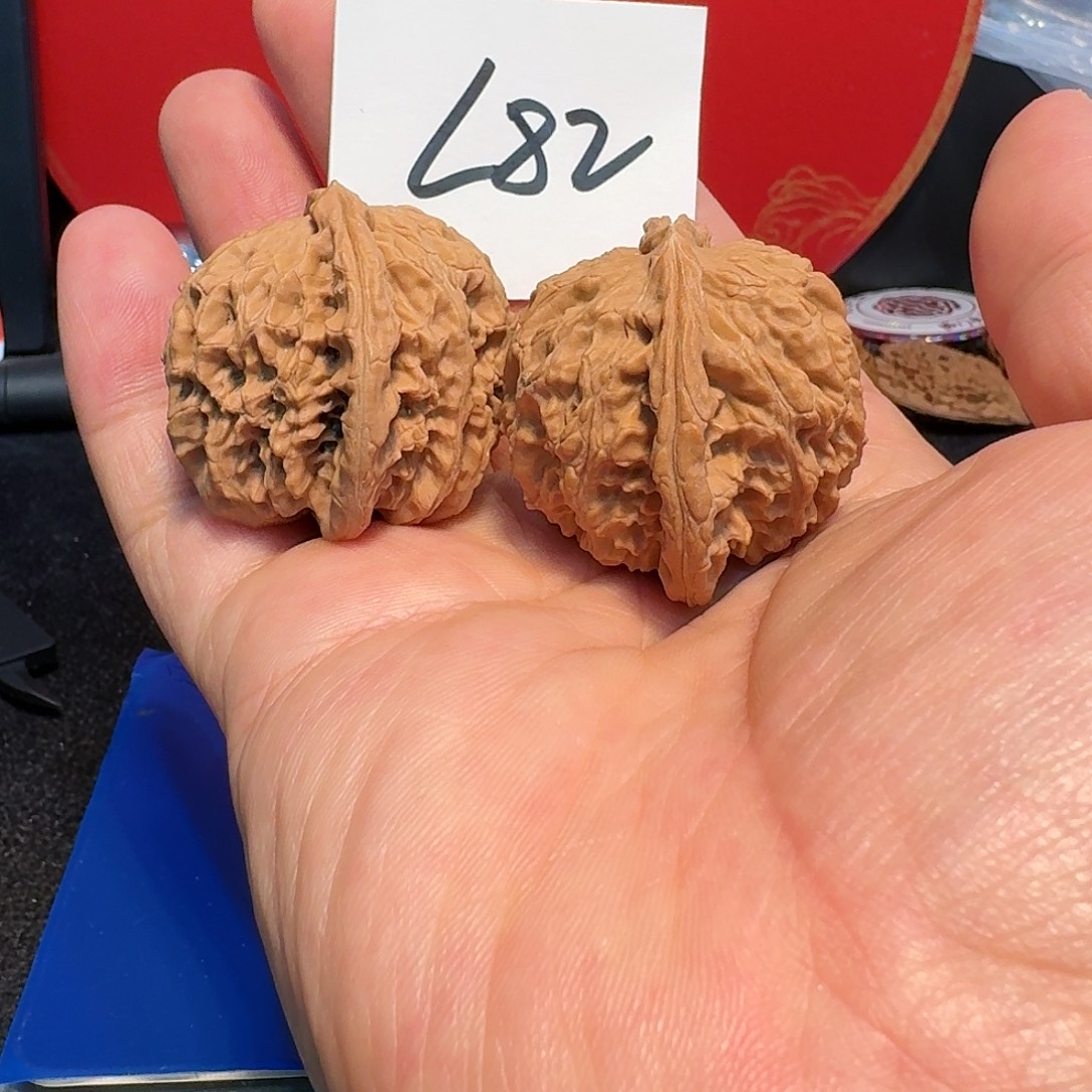 文玩核桃把件白狮子头4 0