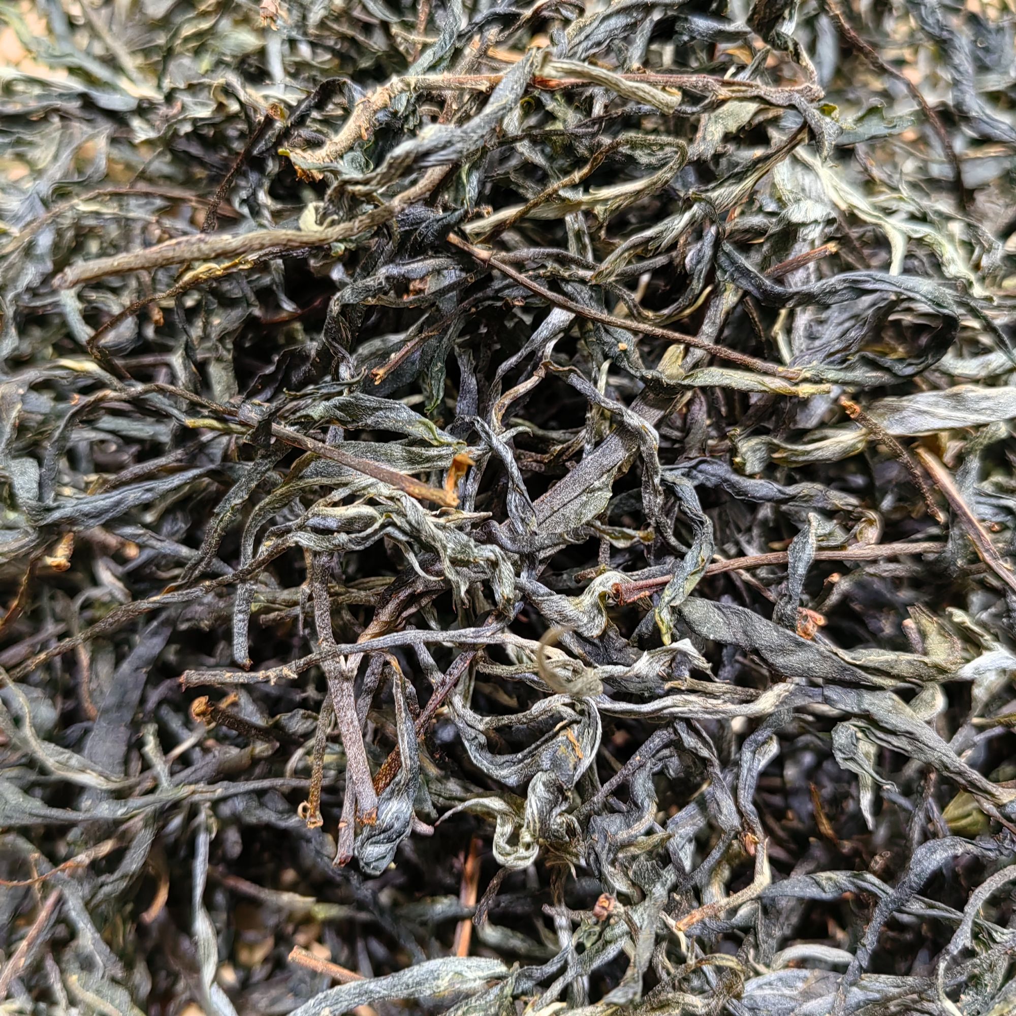 2025年老丙山 散茶