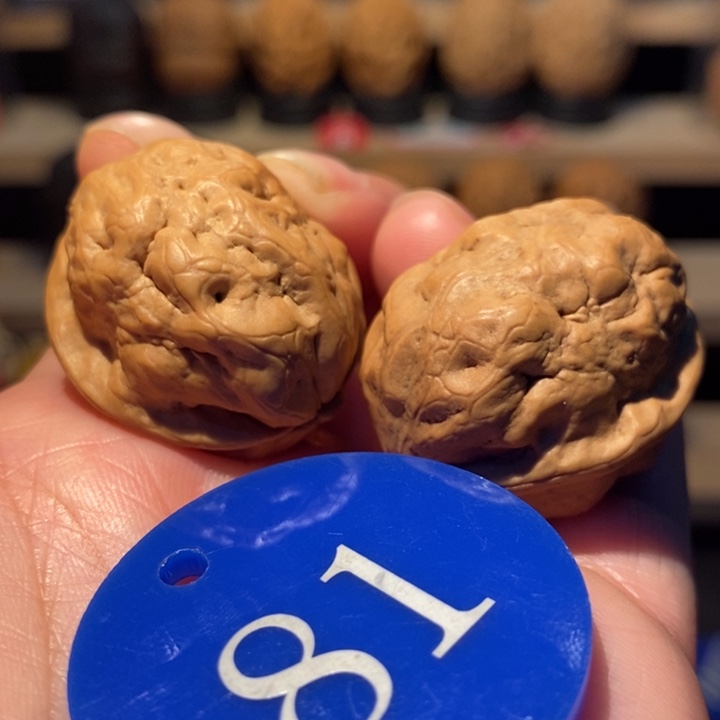 木质类网红抱抱蛙28尺寸