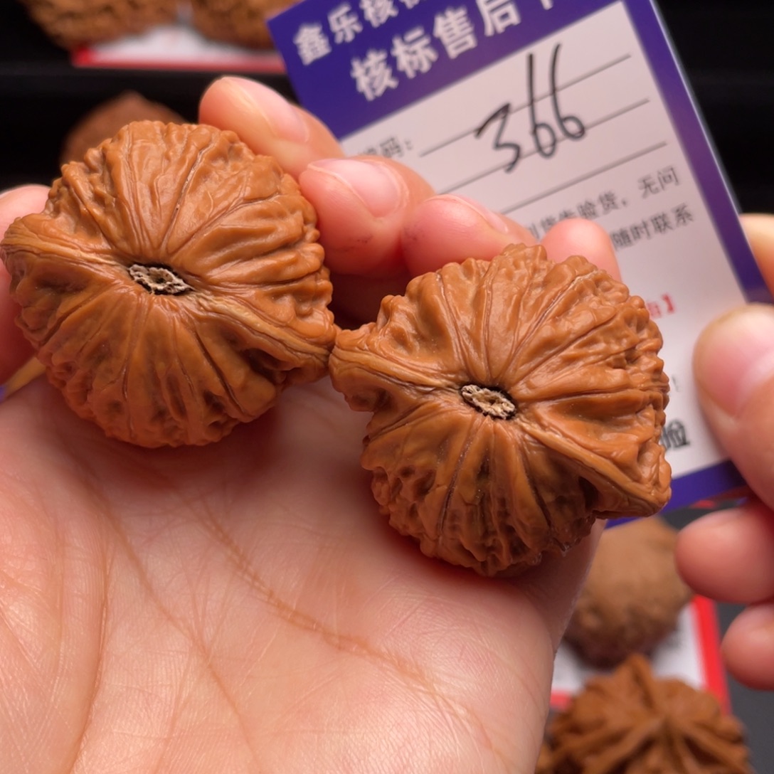 文玩核桃把件铁锤妹妹40尺