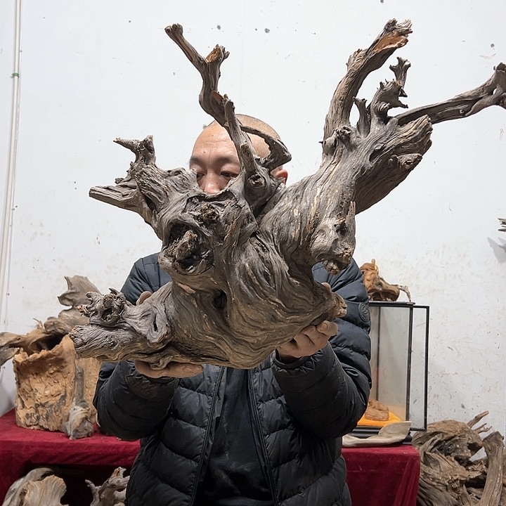 柏木人****容我们的生活也是如此