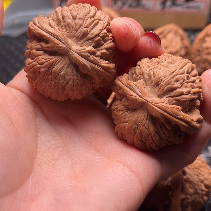 文玩核桃把件42白狮子