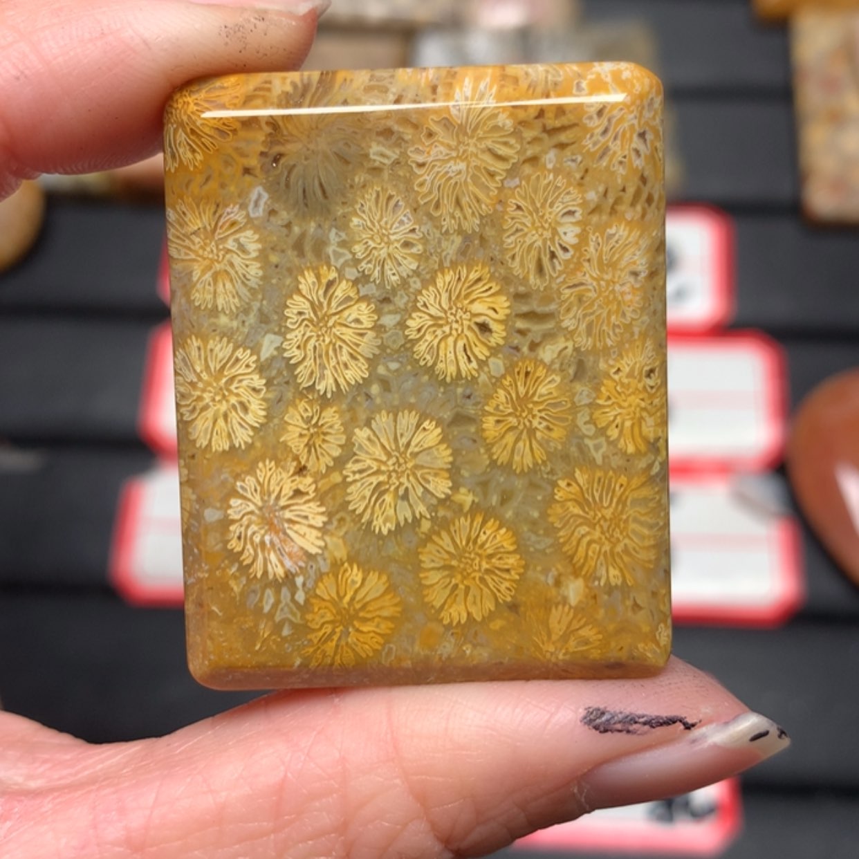 【闪购商品】硅化玉颈饰未镶嵌L***理