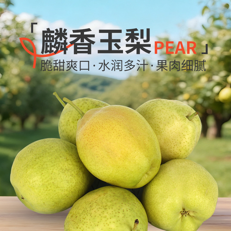 祁连山麒香玉梨水果梨子清甜爽口皮薄肉厚核小脆甜多汁正宗
