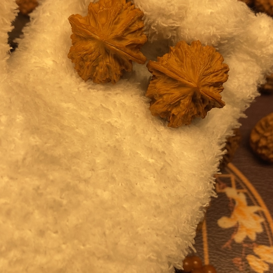 秦岭南侧与黄河北岸之间