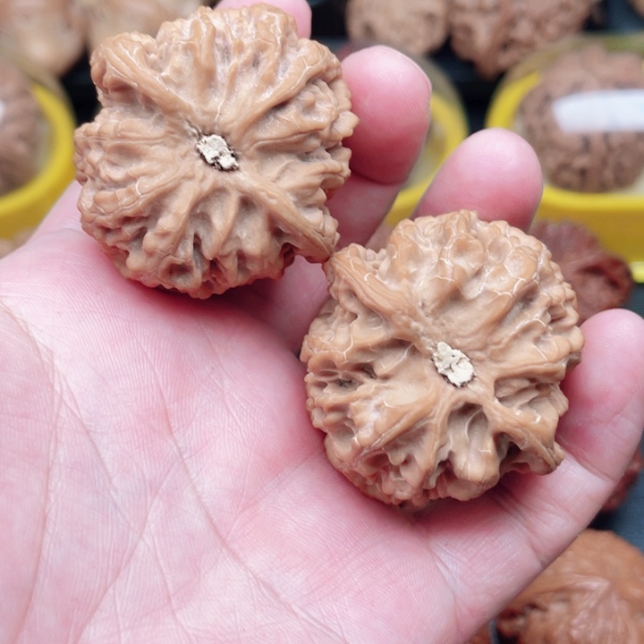 文玩核桃把件苹果园狮子头43×43×36