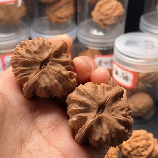 文玩核桃把件謝*39.8白狮子