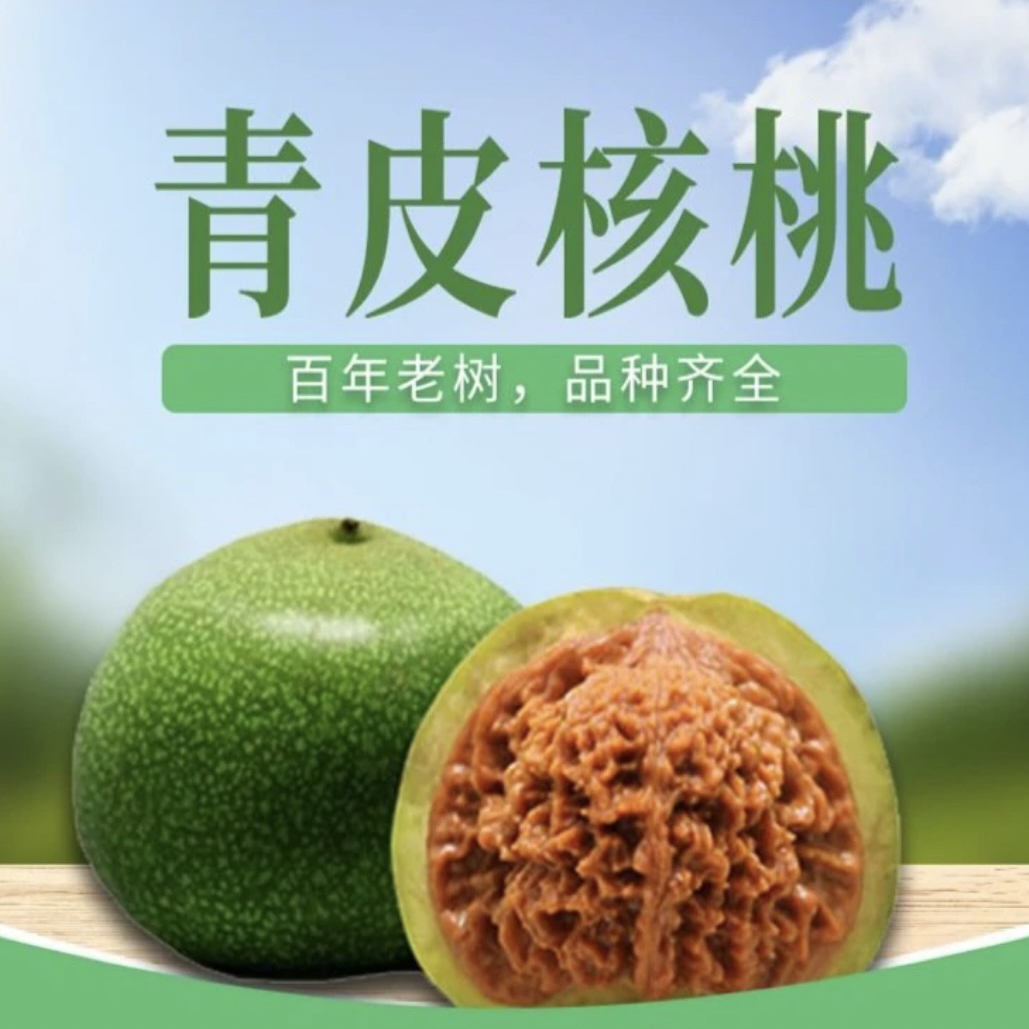 龙鳞纹青皮文玩核桃（拍一发四）
