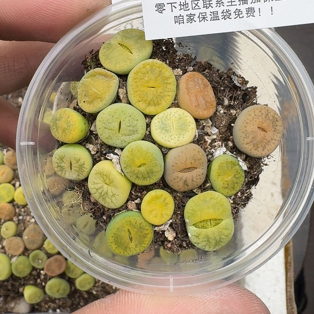 2834 哈哈哈哈哈哈哈哈