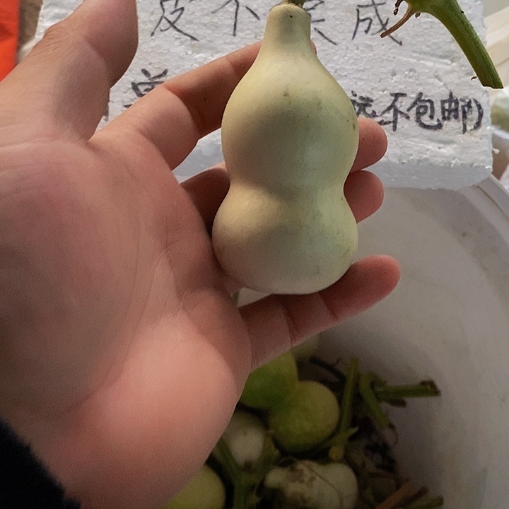 π**4呼呼哈哈哈哈哈哈哈哈哈哈哈哈