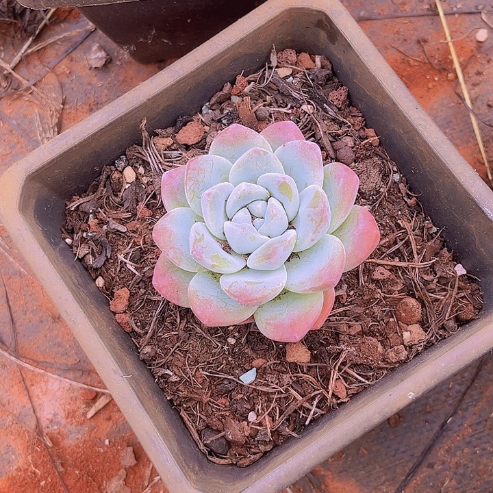 我要的东西不在身边都没有人